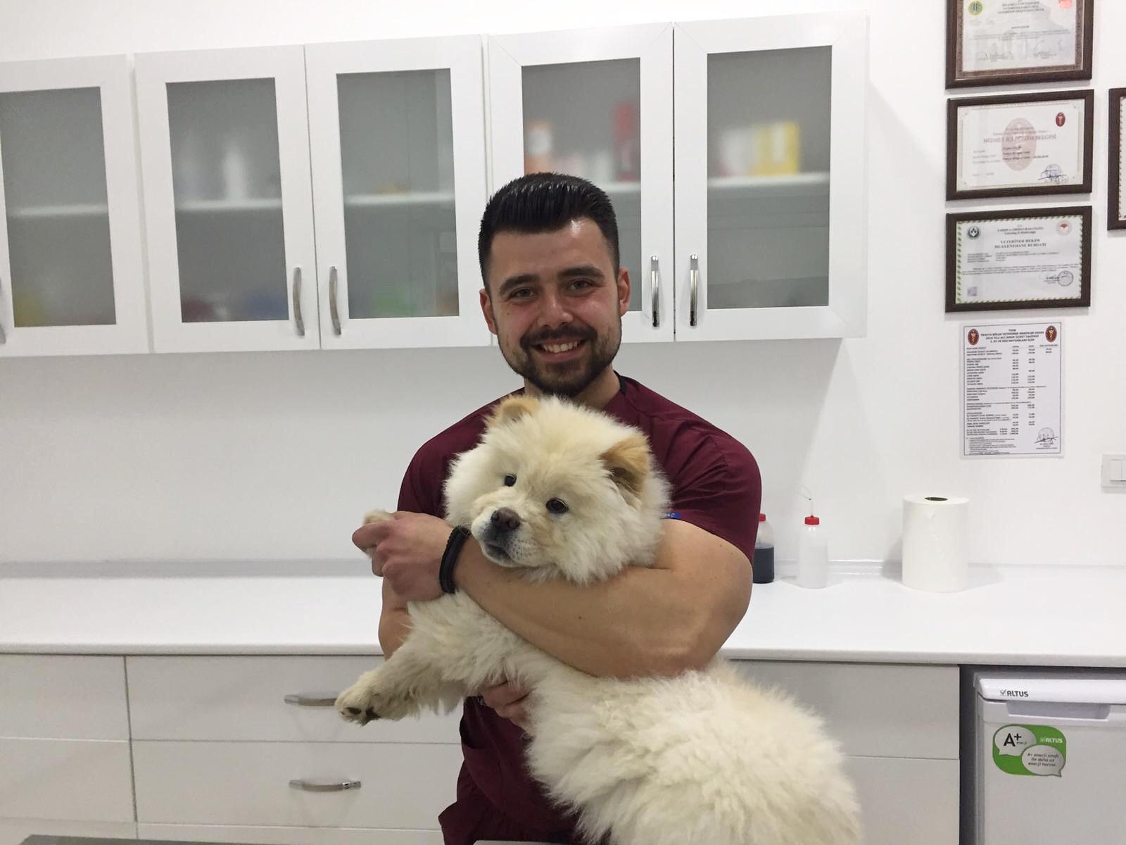 vet