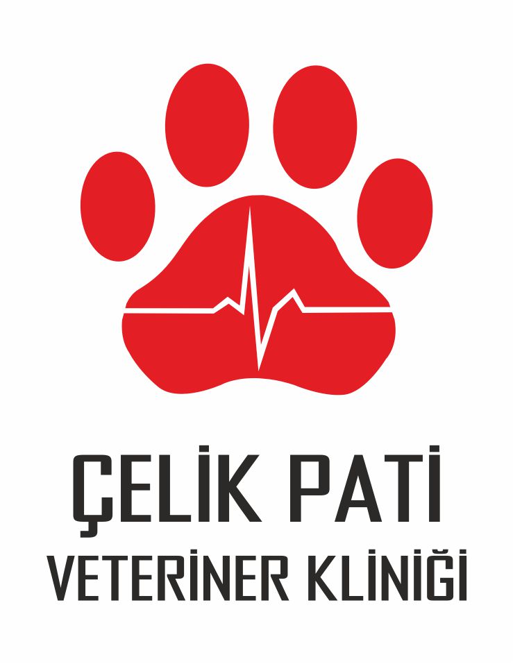 cfm-logo
